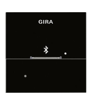 Адаптер Apple 30-Pin для вставки док-станции GIra 228601
