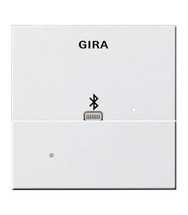 Адаптер Apple Lightning для вставки док-станции Gira 228701