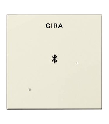 Глухая крышка для вставки док-станции Gira 228801