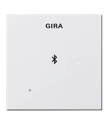 Глухая крышка для вставки док-станции Gira 228801