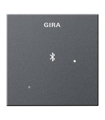 Глухая крышка для вставки док-станции Gira 228801