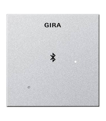 Глухая крышка для вставки док-станции Gira 228801