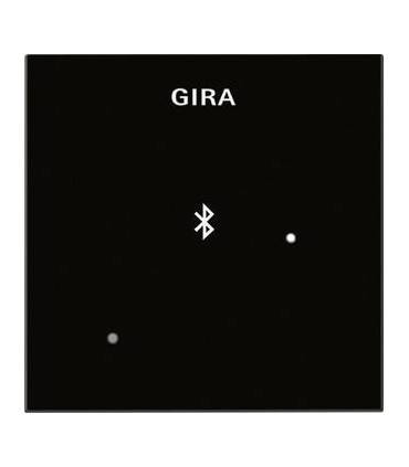 Глухая крышка для вставки док-станции Gira 228801