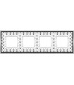 Рамка на 4 поста гор/верт FEDE VINTAGE PORCELAIN, BLACK LYS - Bright Chrome FD01344NECB