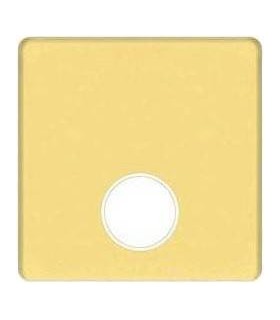 Монтажная плата для механизмов TV/SAT с одним коннектором FEDE, bright gold + beige FD04315OB-A