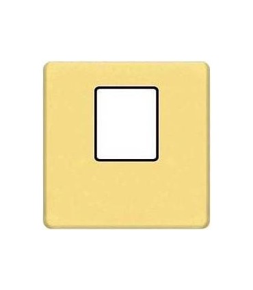 Монтажная плата FEDE для одиночного информационного разъема RJ-45, bright gold + black FD04317OB-M