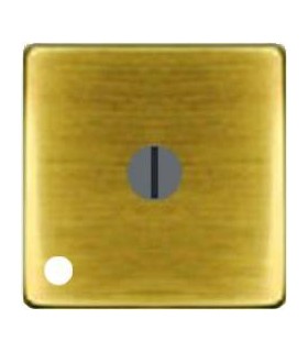 Поворотный выключатель "с трех мест" с лампой подсветки FEDE, bright patina FD03131-PB