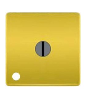 Стандартный поворотный выключатель с лампой подсветки FEDE, bright gold FD03111-OB