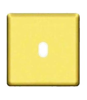 Монтажная плата для выключателя тумблерного типа с 1 коннектором FEDE, bright gold + beige FD04320OB-A