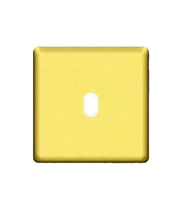 Монтажная плата для выключателя тумблерного типа с 1 коннектором FEDE, bright gold + beige FD04320OB-A