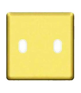Монтажная плата для выключателя тумблерного типа с 2 коннекторами FEDE, bright gold + beige FD04321OB-A