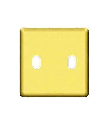 Монтажная плата для выключателя тумблерного типа с 2 коннекторами FEDE, bright gold + beige FD04321OB-A