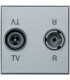 Двойная коаксиальная оконечная розетка для TV и радиосигнала BTicino Axolute, (2 модуля), алюминий HC4211D