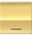 Клавиша металлическая для квадратных рамок Bticino LivingLight (2 модуля), золото LN4931M2OA