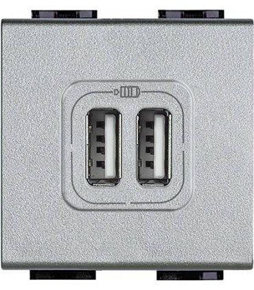 Розетка 2хUSB для зарядки электронных устройств 5 В 1500 мА, (2 модуля) Bticino LivingLight, алюминий NT4285C2