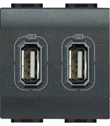 Розетка 2хUSB для зарядки электронных устройств 5 В 1500 мА, (2 модуля) Bticino LivingLight, антрацит L4285C2