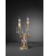 Настольная лампа La Lampada TL 13576/2.26 TL 13576/2.26