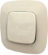 Одноклавишный выключатель в сборе Legrand Valena Allure, Слоновая кость {PRODUCT_REFERENCE}