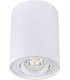 Потолочный точечный светильник Kanlux BORD DLP-50-W 22551