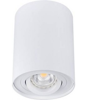 Потолочный точечный светильник Kanlux BORD DLP-50-W 22551