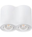 Потолочный точечный светильник Kanlux BORD DLP-250-W 22554