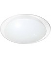 Управляемый светодиодный светильник Saturn R-555-SHINY-220V-IP44