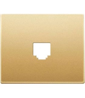 Обрамление для информационной розетки BJC, матовое золото 19782-OD