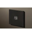 Двойная USB розетка в сборе Lithoss Void, Matt black Vo0U18