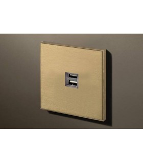 Двойная USB розетка в сборе Lithoss Void, Brass Vo0U06