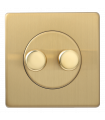 Диммер двойной электромеханический 2х40-250W, Varilight Varigrid, Brushed Brass Z1EGTP2B
