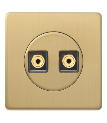 Двойная информационная розетка RJ-45 (Кат. 5e/6e), Varilight Varigrid, Brushed Brass Z1EGD2B