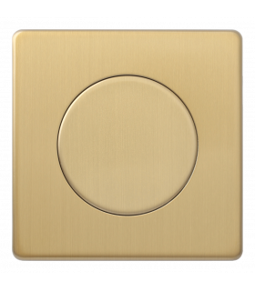Рамка с заглушкой, Varilight Varigrid, Brushed Brass Z1EGBB