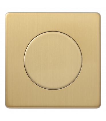Рамка с заглушкой, Varilight Varigrid, Brushed Brass Z1EGBB