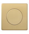 Рамка с заглушкой, Varilight Varigrid, Brushed Brass Z1EGBB