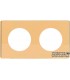 Рамка на 2 поста Varilight Varigrid, Polished Brass XEVG2S