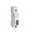 Автоматический выключатель Systeme Electric (Schneider Electric) City9 Set 1Р 25 A, тип B, 4.5 кА, C9F14125 {PRODUCT_REFERENCE}