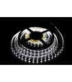 Светодиодная лента SMD 5050W, 300 Led, IP65, 12V, холодный белый SMD 5050W IP65