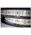 Светодиодная лента SMD 3528-240WW,  IP20, 12V, теплый белый SMD 3528-240WW
