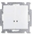 Выключатель двухклавишный с индикацией﻿ ABB Basic 55, белый 1012-0-2154