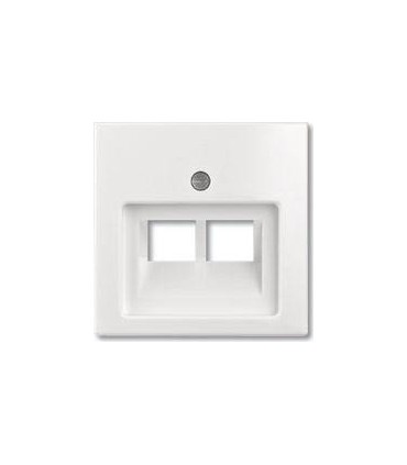 Накладка двойной наклонной﻿ телефонной/компьютерной розетки ABB Basic 55, белый 1753-0-0095