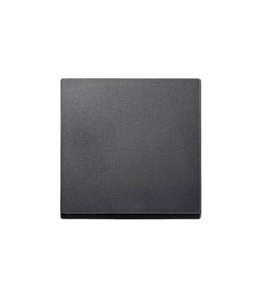 Merten SM Антрацит Клавиша 1-ая {PRODUCT_REFERENCE}